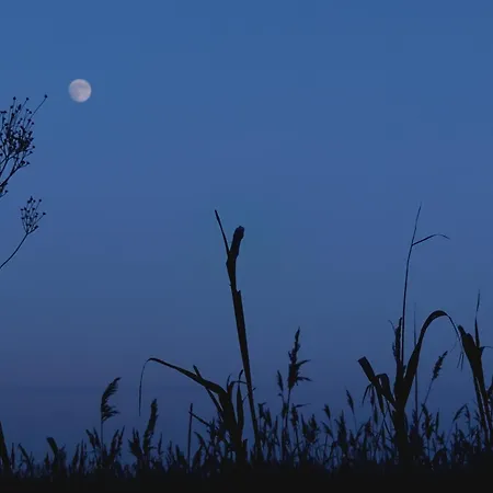 Am Gutspark 3, Klausdorf, Ca 250 M Bis Zur Badestelle 別荘 *