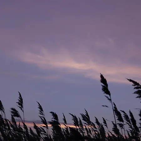 Ferienhaus Am Gutspark 3, Klausdorf, Ca 250 M Bis Zur Badestelle