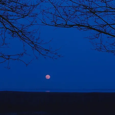 Am Gutspark 3, Klausdorf, Ca 250 M Bis Zur Badestelle 別荘 クラウスドルフ・メクレンブルク・フォアポンメルン