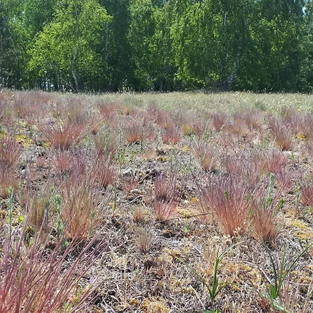 Am Gutspark 3, Klausdorf, Ca 250 M Bis Zur Badestelle 別荘 *