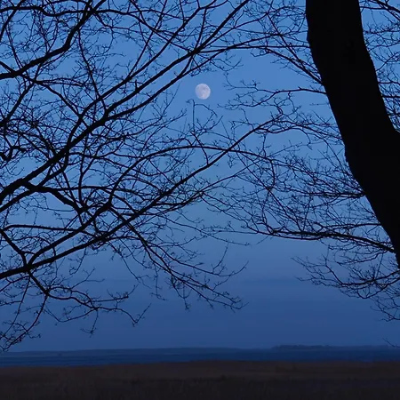 Am Gutspark 3, Klausdorf, Ca 250 M Bis Zur Badestelle