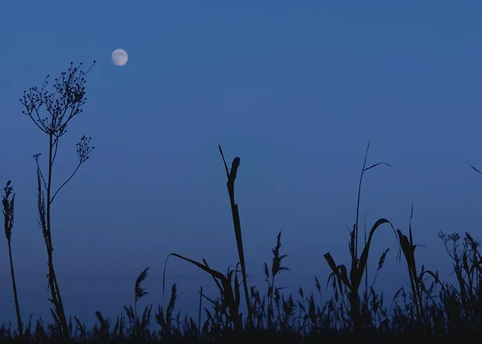 Am Gutspark 3, Klausdorf, Ca 250 M Bis Zur Badestelle 度假居 *