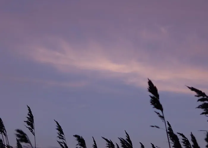 度假居 Am Gutspark 3, Klausdorf, Ca 250 M Bis Zur Badestelle