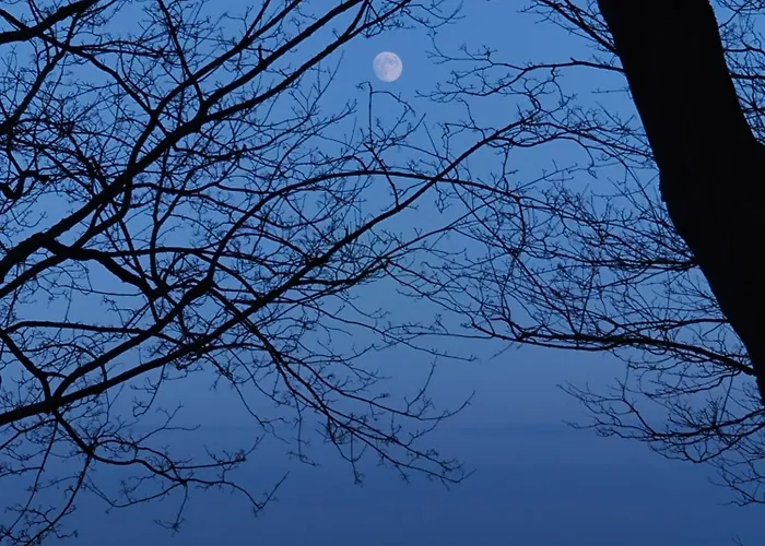 Am Gutspark 3, Klausdorf, Ca 250 M Bis Zur Badestelle